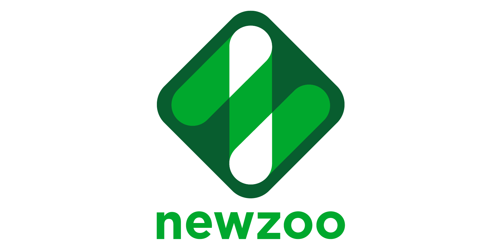 NewZoo Metaverse Gaming Gamer